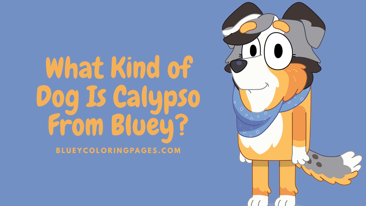 What Kind of Dog Is Calypso From Bluey